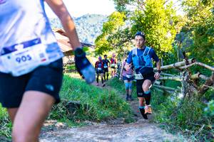 BIB: 905
                            <button type="button" onclick="openModal(19048141)" class="btn btn-primary btn-sm float-right btn-popup" data-toggle="modal" data-target=".modal-high-quality">
                        <i class="fas fa-shopping-cart"></i> Add to Cart
                    </button>
                                            <button type="button" onclick="isThisMe(19048141, true)" class="btn btn-success btn-sm float-right btn-popup btn-isme hidden" data-toggle="tooltip" data-placement="bottom" title="นี่คือรูปของคุณใช่ไหม คลิกที่นี่เพื่อเอาเข้าอัลบั้ม">
                        <i class="fas fa-plus"></i> Add to album
                    </button>
                    <button type="button" onclick="isThisMe(19048141, false)" class="btn btn-warning btn-sm float-right btn-popup btn-isnotme hidden">
                        <i class="fas fa-ban"></i> Remove from album
                    </button>